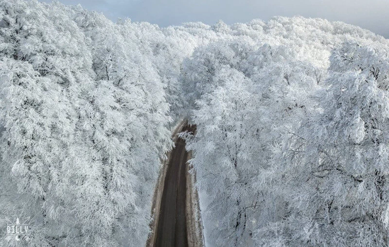 Mtskheta & Sabaduri Forest – One Day Private Tour