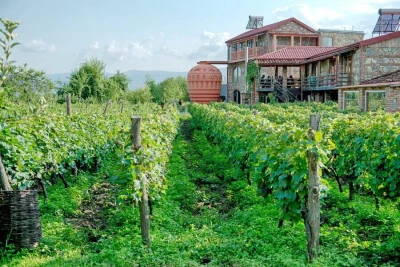 Kakheti & Kazbegi – 2-Day Wine & Mountains Adventure thumbnail 1