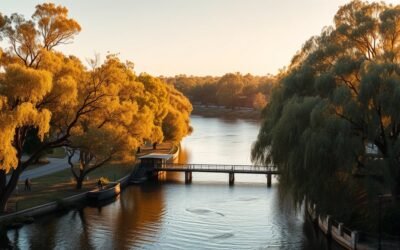 optimal wagga wagga travel timing