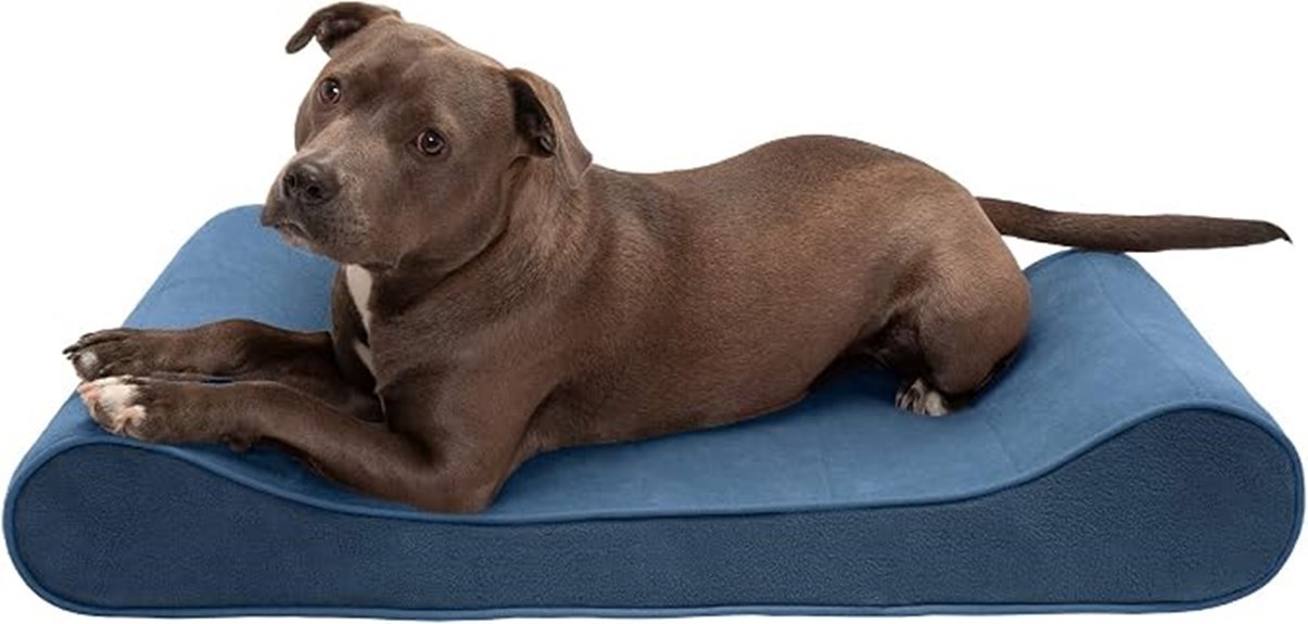 cooling gel dog bed