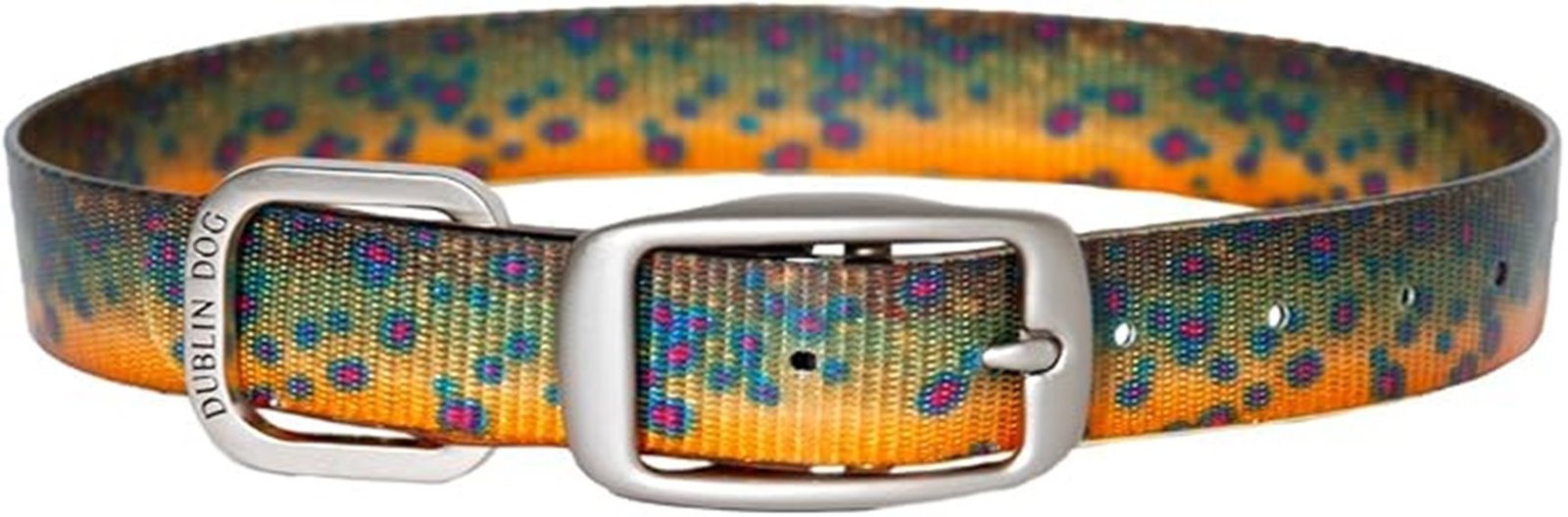 fish themed dog collar design