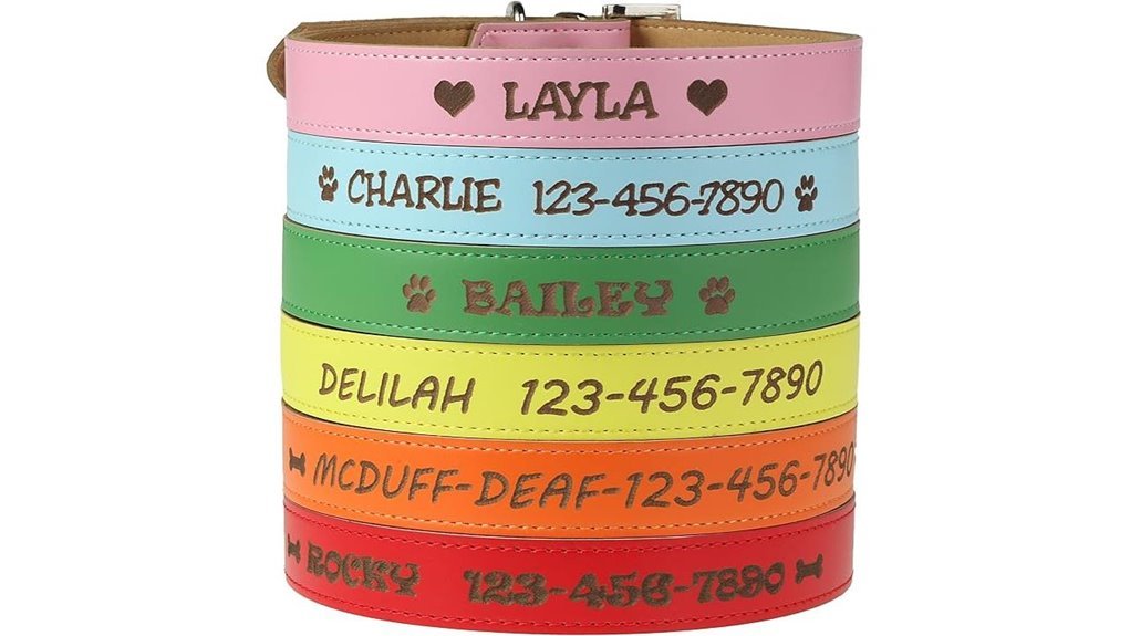 personalized engraved leather collar