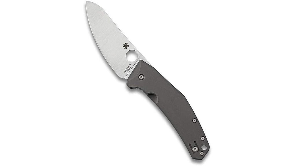 premium spyderco chef knife